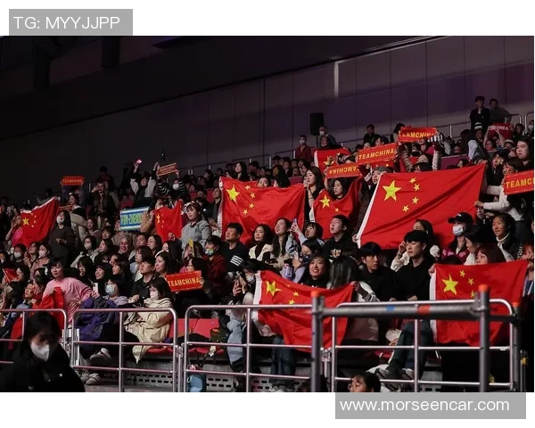 武汉乒乓球队的盯防策略解析与热点动态探讨